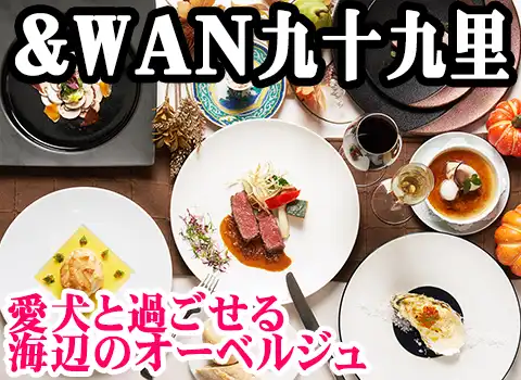 &WAN\㗢