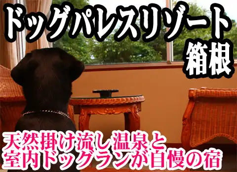 hbOpX][g