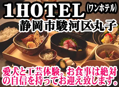 1hotel