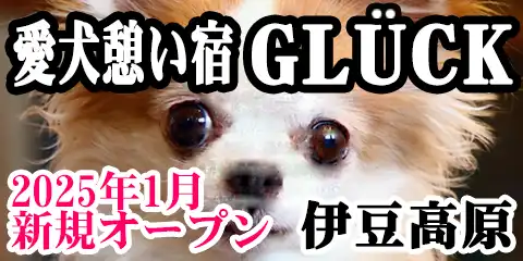 ehGLUCK