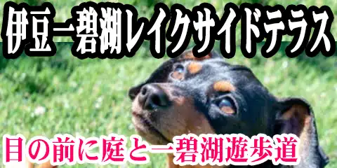 Ɍ΃CNTCheX