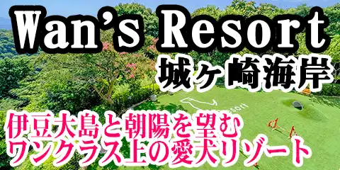 Wan's Resort 郖C