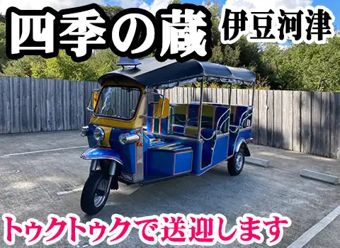 zelG̑