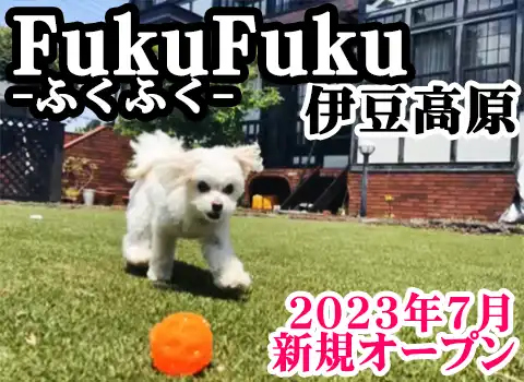 ybgƂ̂т߂h FukuFuku