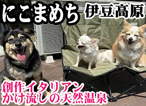 ̂񂱏h ɂ܂߂