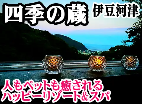 zelG̑