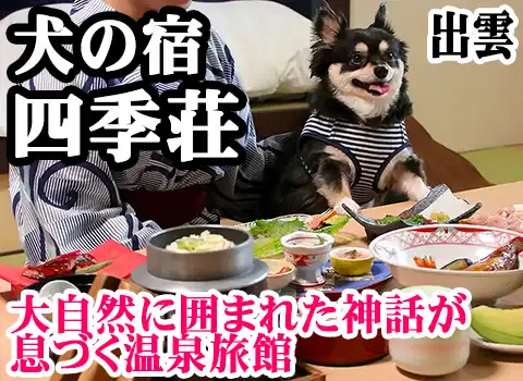 ̏h lG