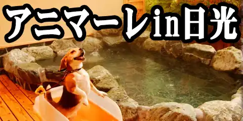 Aj}[ in 