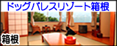 hbOpX][g