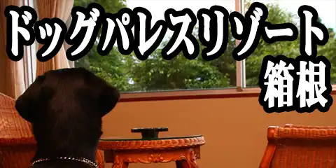 hbOpX][g