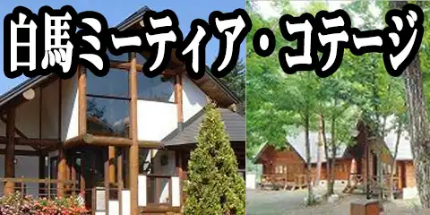 n~[eBAERe[W
