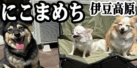 ₵̂񂱏hɂ܂߂