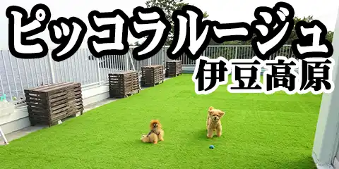 C]̏h sbR[W
