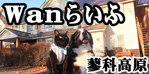 X̃yVWan炢
