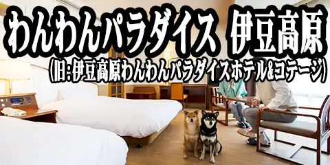 �����p���_�C�X �ɓ����� (��:�ɓ����������p���_�C�X�z�e�����R�e�[�W)