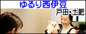 ゆるり西伊豆