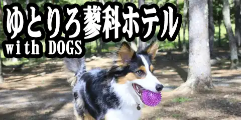Ƃȃzewith DOGS