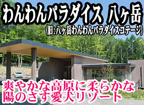 �����p���_�C�X �����x (��:�����x�����p���_�C�X�R�e�[�W)