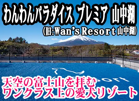 �����p���_�C�X
�v���~�A �R���� (��:Wan�fs Resort �R����)