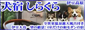 h炭