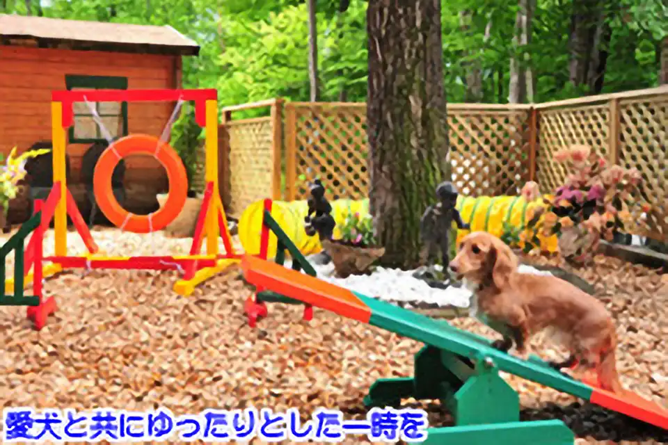 Aj}[ v~A in ߐ{ width=