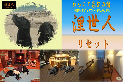 わんこと家族の宿 浬世人(リセット)