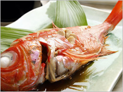ペットと一緒に過ごす温泉宿マーフィ