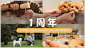 蔠with DOGS